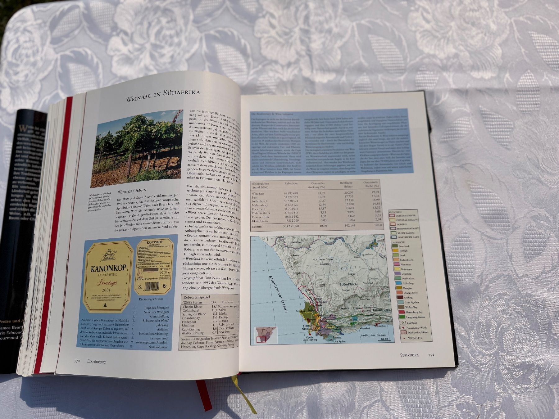 Livres: Grosse Buch "Wein" top zustand – D'occasion à Cugnasco par tizianaq 9
