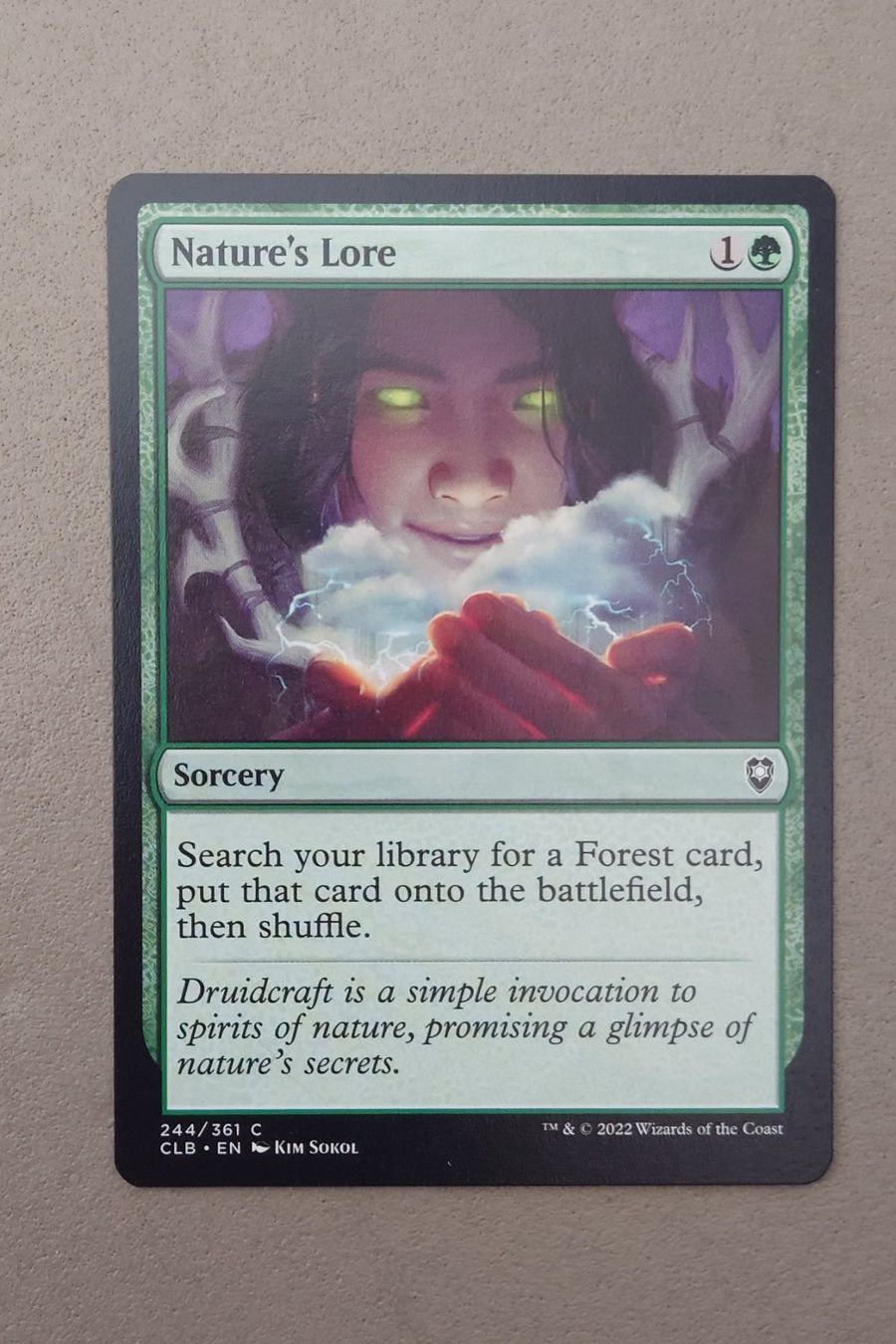 Magic The Gathering Carte collezionabili: Mtg, 2x Nature's Lore – Usato da Elsau venduto da majeerdi 1