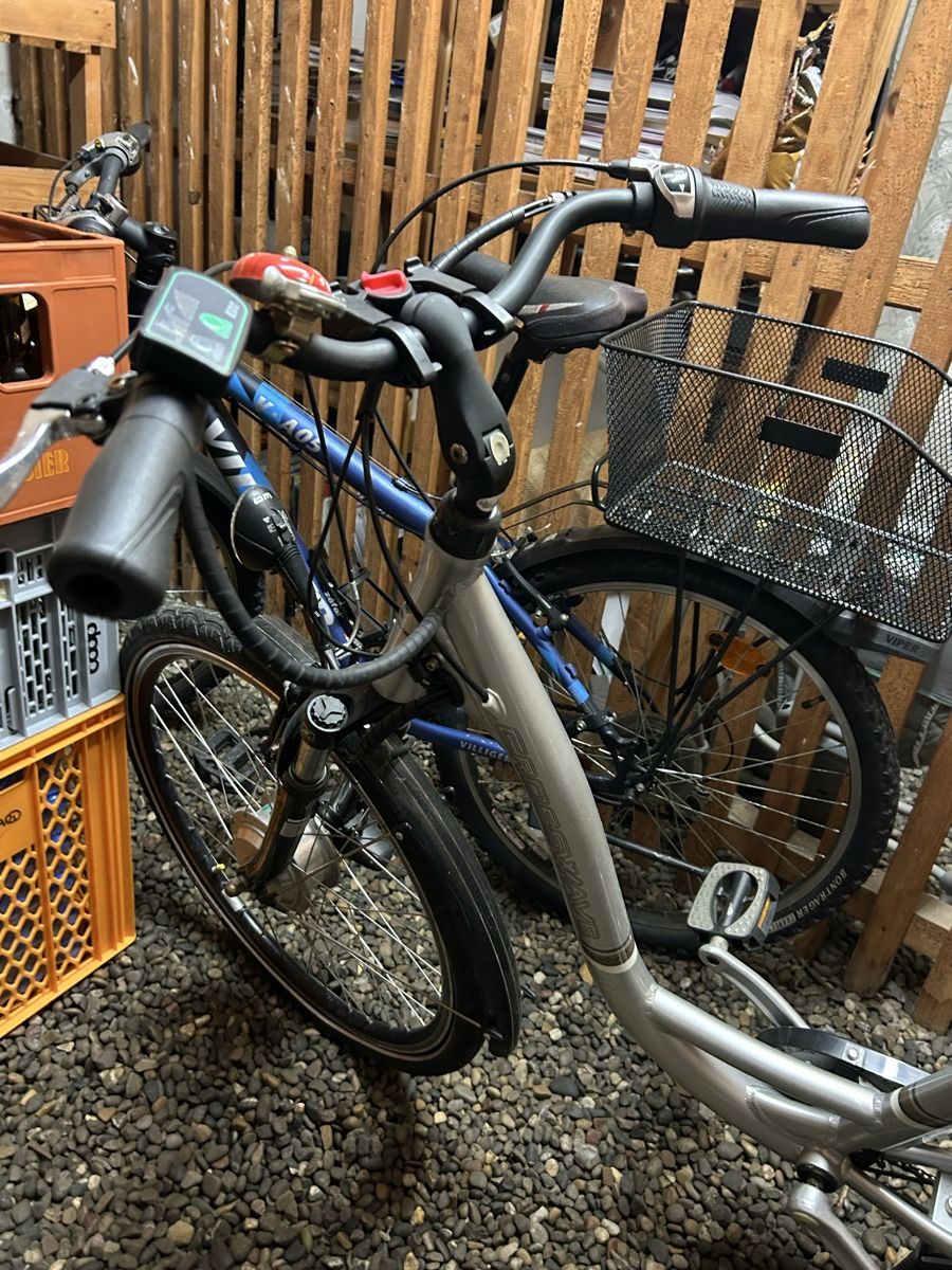 Crosswave Biciclette: Elektrovelo – Difettoso da Winterthur venduto da yas_hb6z 2