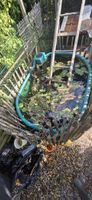 Gartenteich, Hochteich, Tiertränke , Weidetröge Pferde 1000L