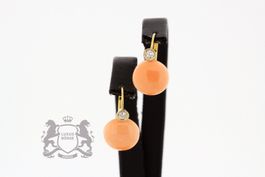 Engelshaut Koralle Ohrringe 18K Gelbgold *S2027