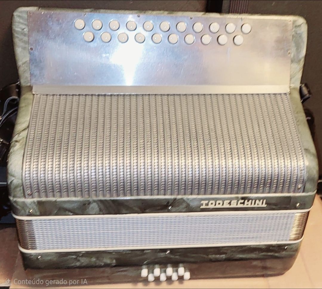Concertina TODESCHINI (D'occasion) à Penthalaz pour CHF 880 – retrait ...