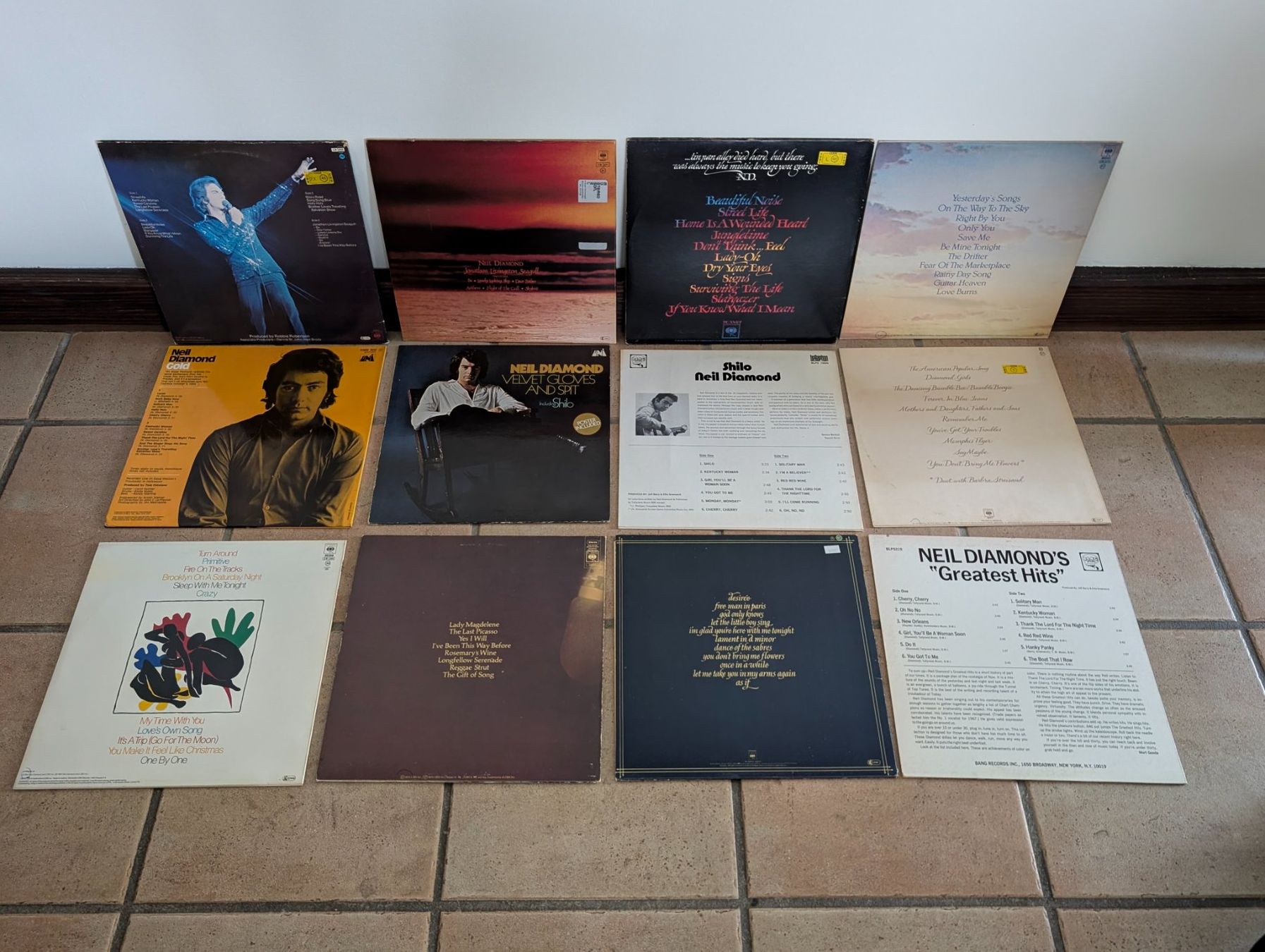 Dischi in vinile: 12 x Neil Diamond – Usato da Ebikon venduto da kisuM 1