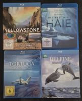 BBC Naturdokus, Haie/Delfine, Yellowstone