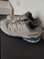 Salomon gtx V9
