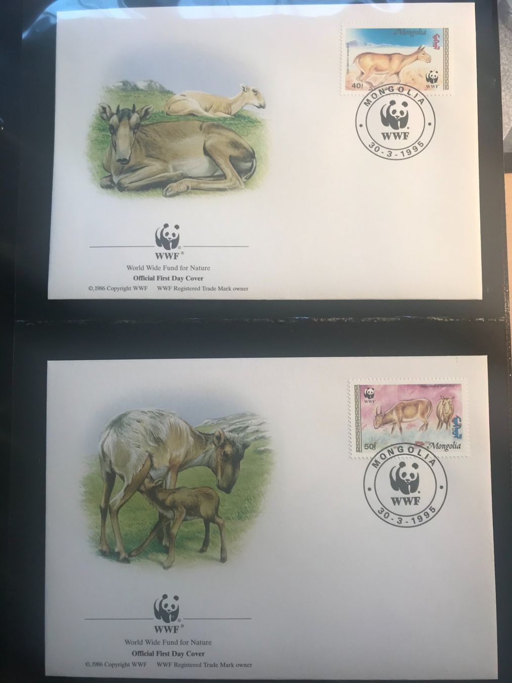 Tutti i francobolli: Mongolei 1995 WWF Satz Saiga illustrierte Ersttagsbriefe – Nuovo (secondo la descrizione) da Winterthur venduto da schnueps