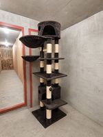 Großer, stabiler Katzenbaum mit Liegeflächen und Höhlen