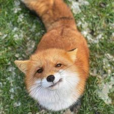 Profile image of peetcx