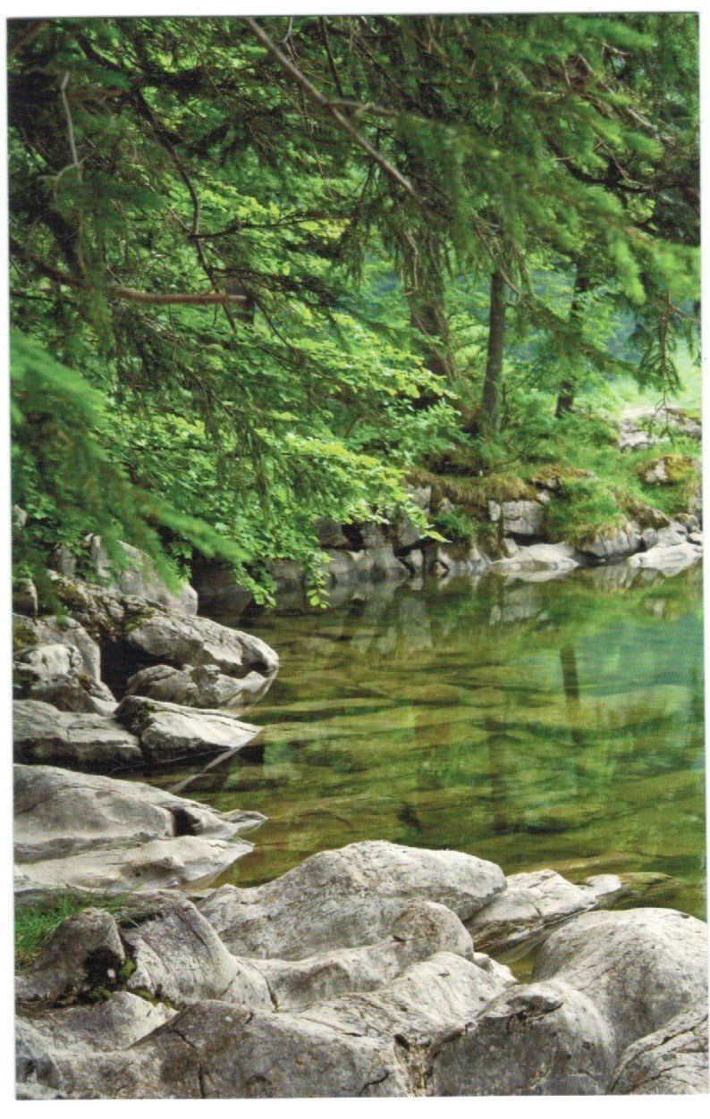 Cartoline postali: AK Seealpsee AI – Usato da Zürich venduto da Tolima194