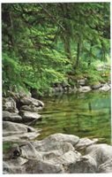 AK Seealpsee AI