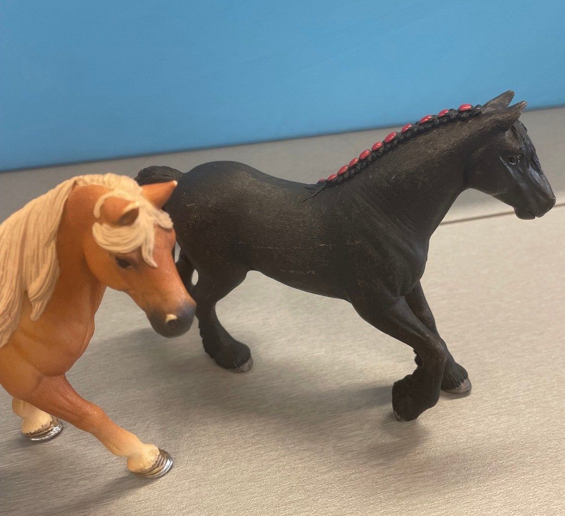 Schleich Giocattoli: Schleich 2 Pferde – Usato da Sirnach venduto da sagrotin 2