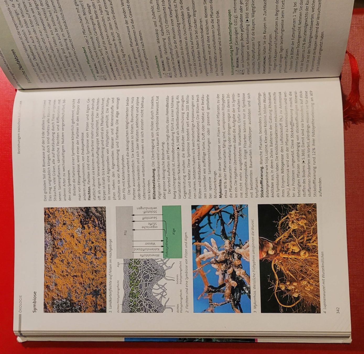 Libri: Biologie -  Schulbuch gebraucht – Usato da Zürich venduto da Avd 9