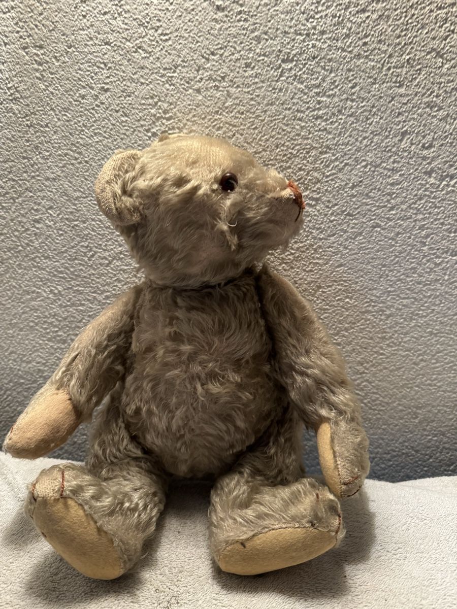 Steiff Spielzeuge: Steiff Teddy – Gebraucht aus Binningen von kal_5nsj 1