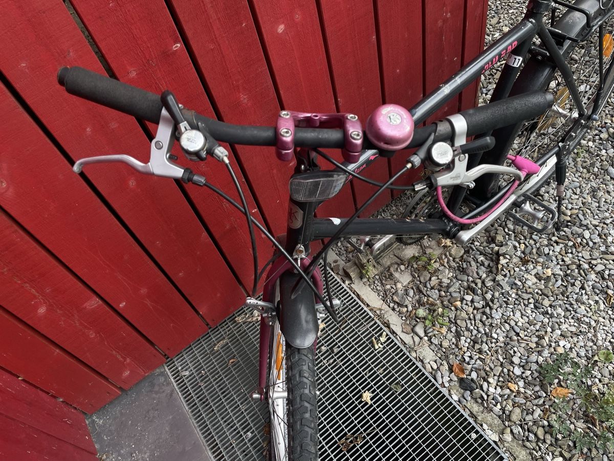 Velos: Velo – Gebraucht aus Spiez von lukullisch 3