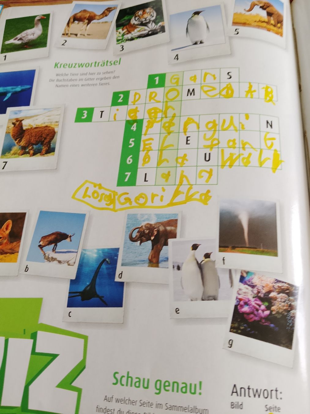 Libri: Welt des Wissens – Usato da Volken venduto da katz5 4