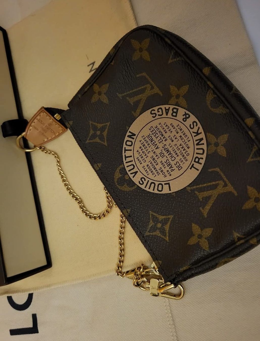 Louis Vuitton Borse da donna: Louis Vuitton  Pochette Mini Limited Trunks – Usato da Gattikon venduto da lavric_d 2
