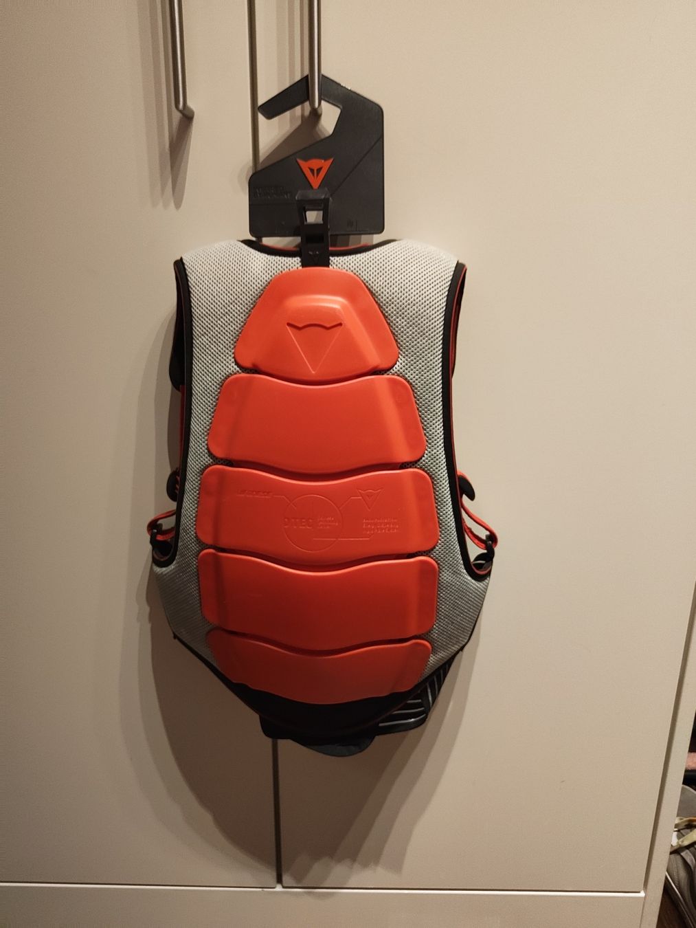 Dainese Schutz & Schoner: Dainese Rückenprotektor – Gebraucht aus Seuzach von dan1991