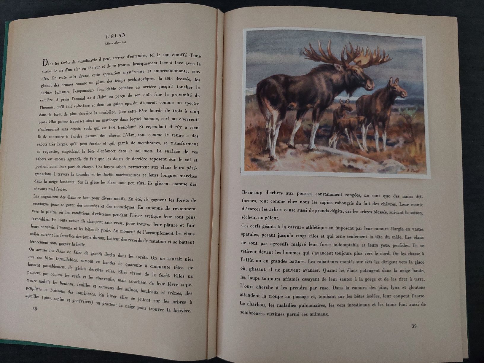 Bücher: Animaux de tous pays – Gebraucht aus Yverdon-les-Bains von pri_x6j6 6