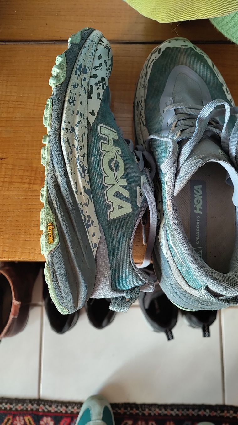 Scarpe da uomo: hoka speedgoat 6 grösse 38 – Usato da Stäfa venduto da mic_b7td