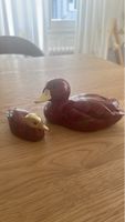 Elli Malevolti Enten sehr guter Zustand