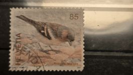 2007 Abart Buchfink Druckverschiebung des Markenbildes