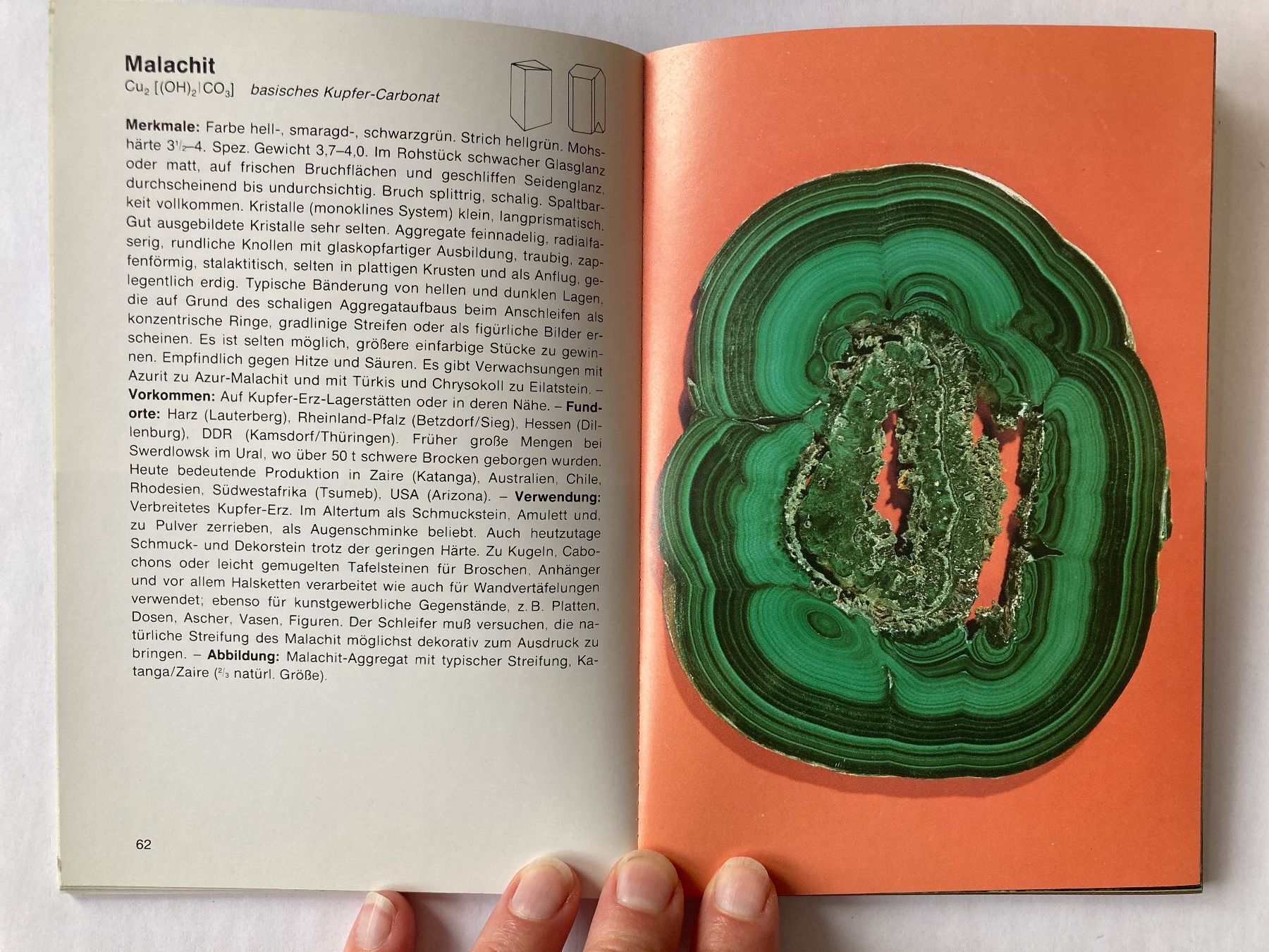 Bücher: Buch: MINERALIEN + GESTEINE – Gebraucht aus Bubendorf von Alpenheidi 6