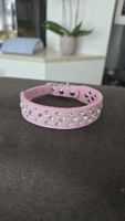Glamour Halsband für Hunde