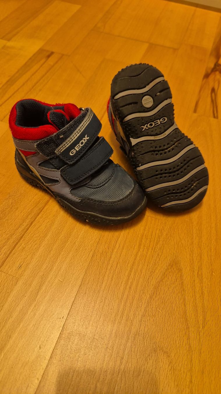 Geox Schuhe für Jungen: Geox-Turnschuh Gr. 24 – Gebraucht aus Näfels von ang_p78x