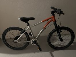 Early rider 20"