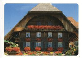 BERNER OBERLAND Chalet