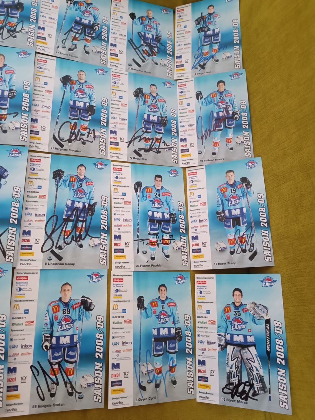 Autografi: 24x Rapperswil-Lakers 2008/2009 - handsigniert – Usato da Menziken venduto da Artographs 2