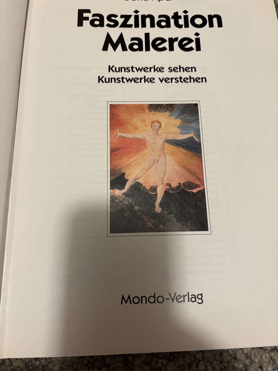 Libri: BUCH faszination malerei – Usato da Herzogenbuchsee venduto da warrior77 2