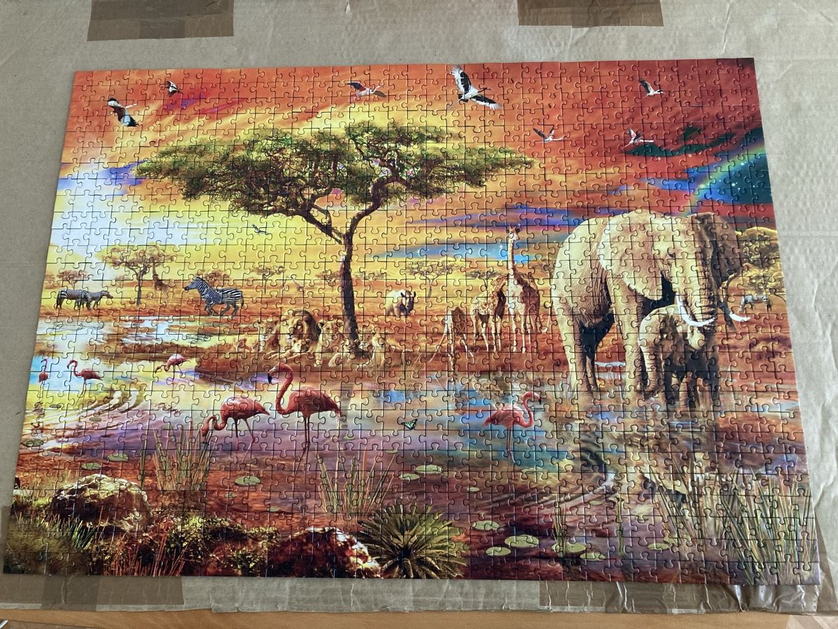 Puzzles: Puzzle Savanne 1000 Teile – Neu (gemäss Beschreibung) aus Steffisburg von sunflower2302 2