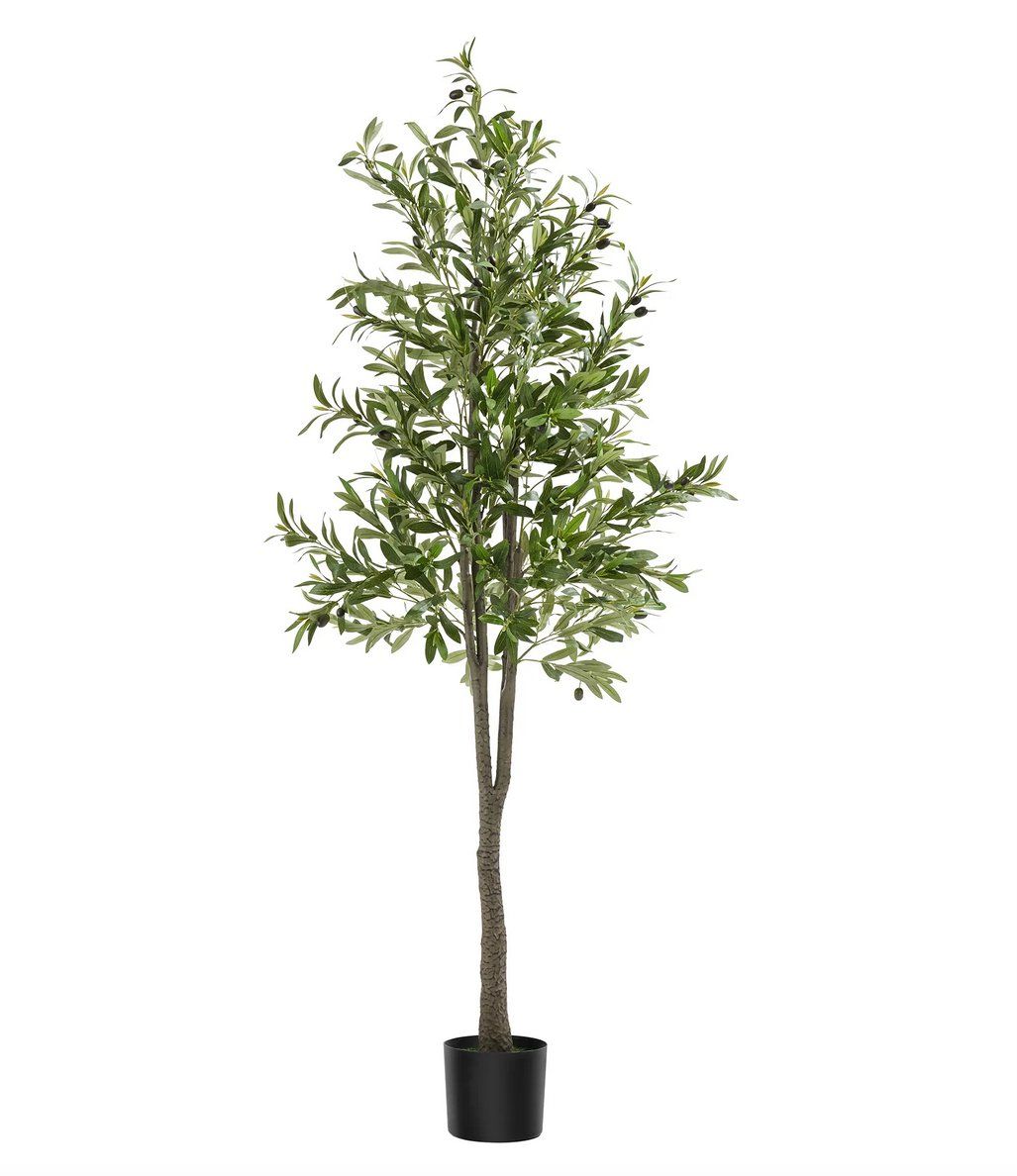Plantes & graines: Künstlicher Olivenbaum Oleand 180 cm – Neuf (Voir description) à Steinhausen par Retourenprofis