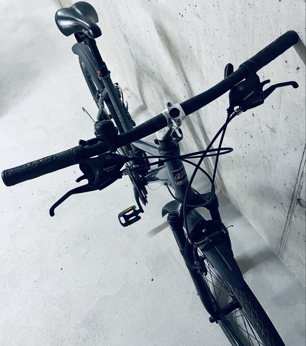 Winora Biciclette: Winora Dubai Damen Velo – Usato da Zürich venduto da Bidon3011 7