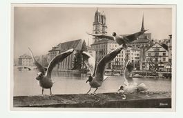 AK Zürich Möwen Grossmünster Gelaufen 1937