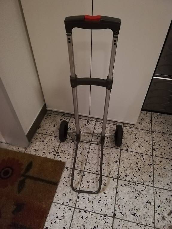 Altro per la casa: Einkaufstrolley – Usato da Oberentfelden venduto da sandy0110 2