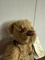 Teddybär 🧸