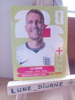 Carte Panini 2026 Dan Burn ENG8