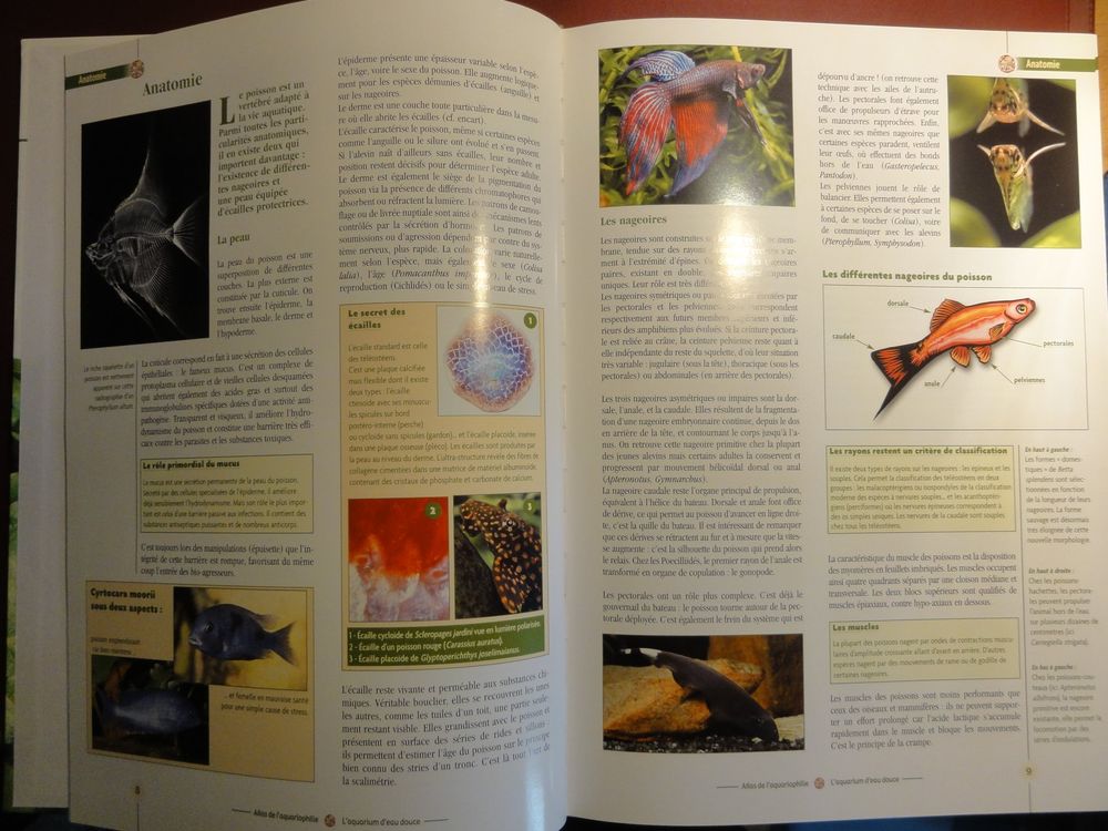 Atlas de l'aquariophilie 6