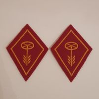 Kragenspiegel Schweizer Armee / Motorfahrer