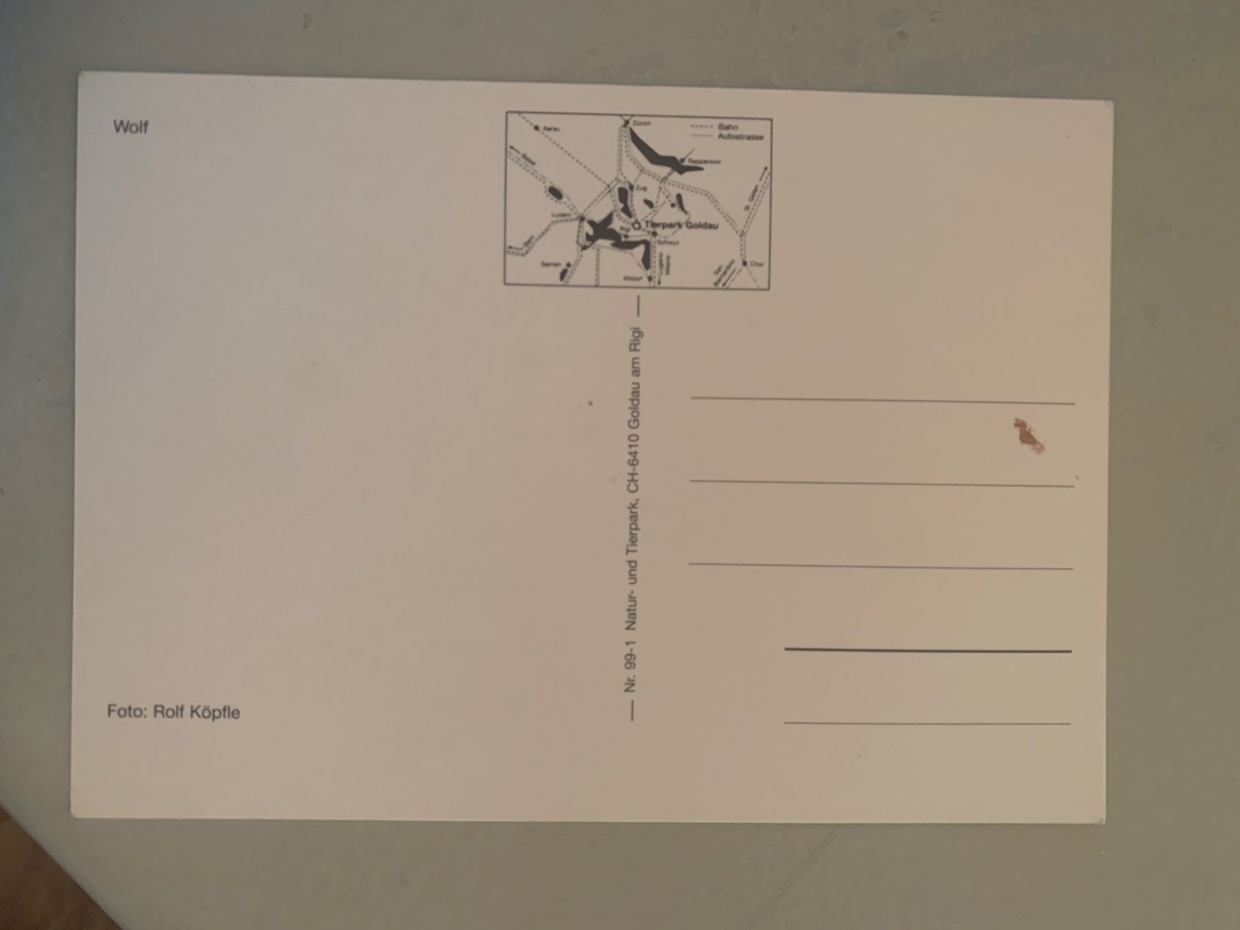 Cartes postales: Wolf Ansichtskarte – D'occasion à Wiggen par Antoniotto 1