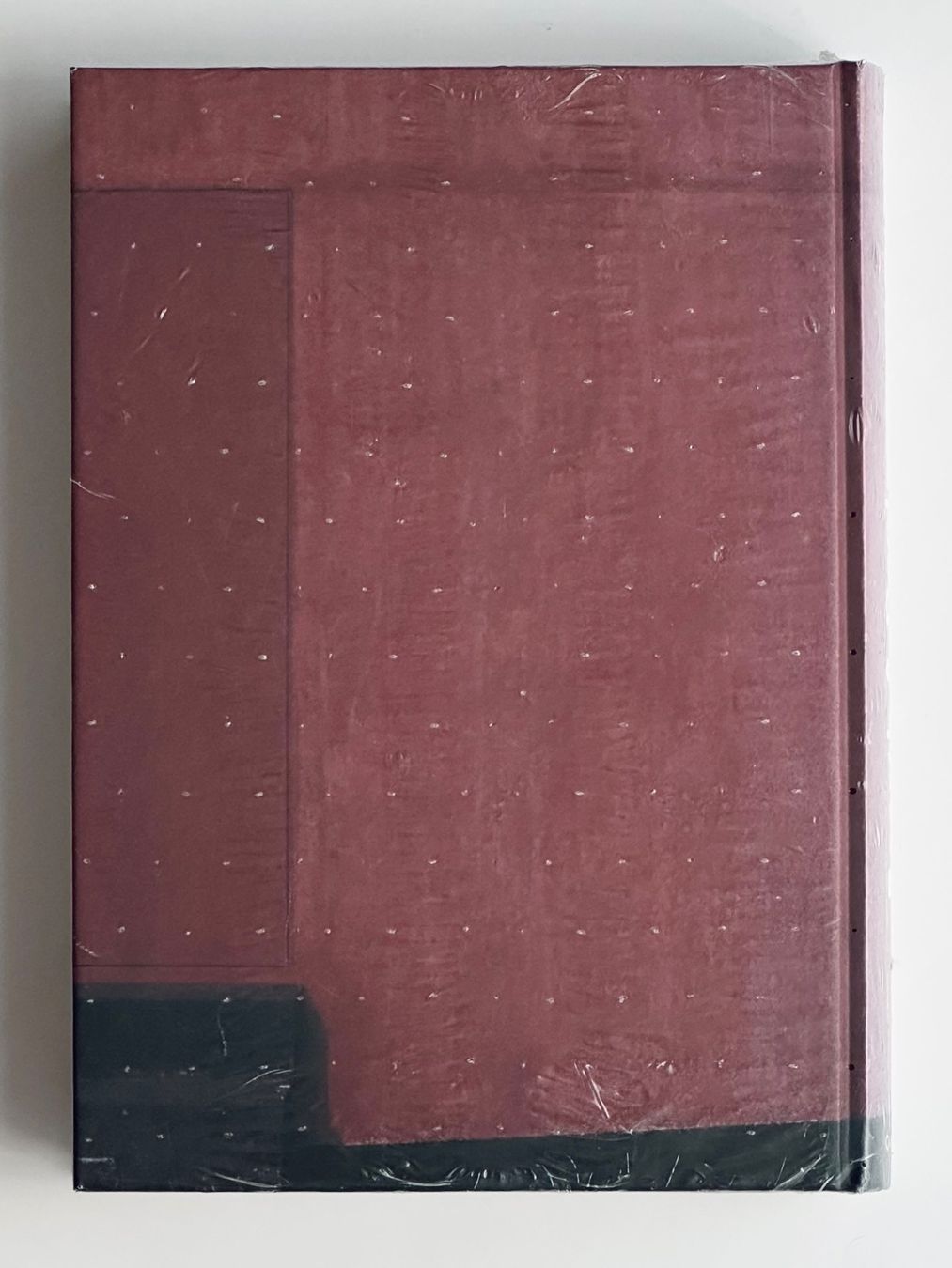 Livres: Bearth & Deplazes Konstrukte/Constructs – Neuf avec emballage d'origine à Zürich par arn___ 1