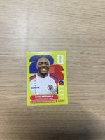 Panini FIFA WC HAI 8