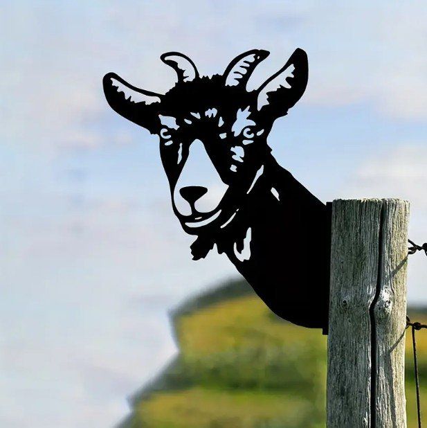 Insegne: Blechschild Geiss - Ziege – Usato da Gerlafingen venduto da Tsuru 2