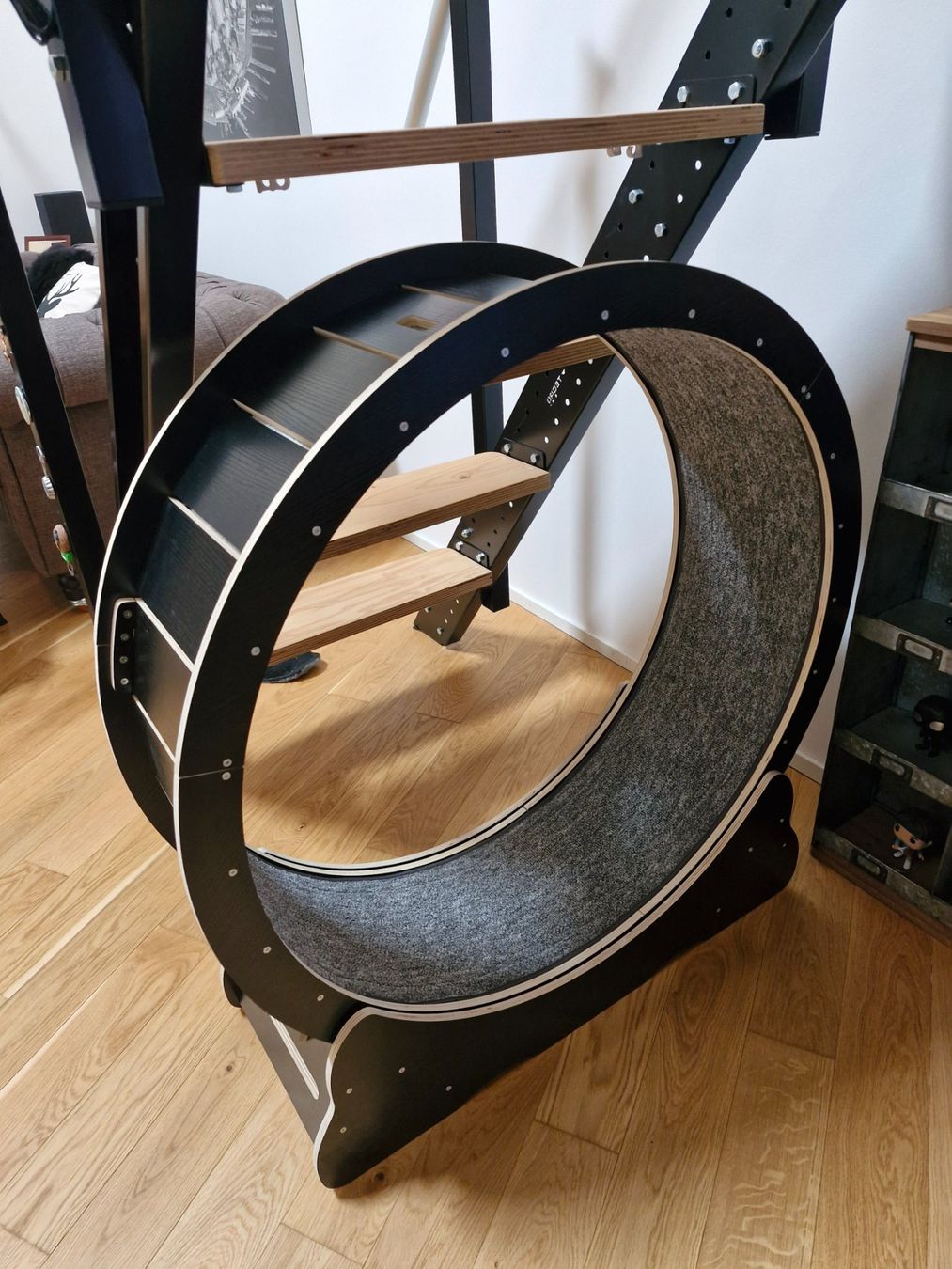 Giocattoli: roue pour chat – Nuovo (secondo la descrizione) da Vallorbe venduto da kimi.75