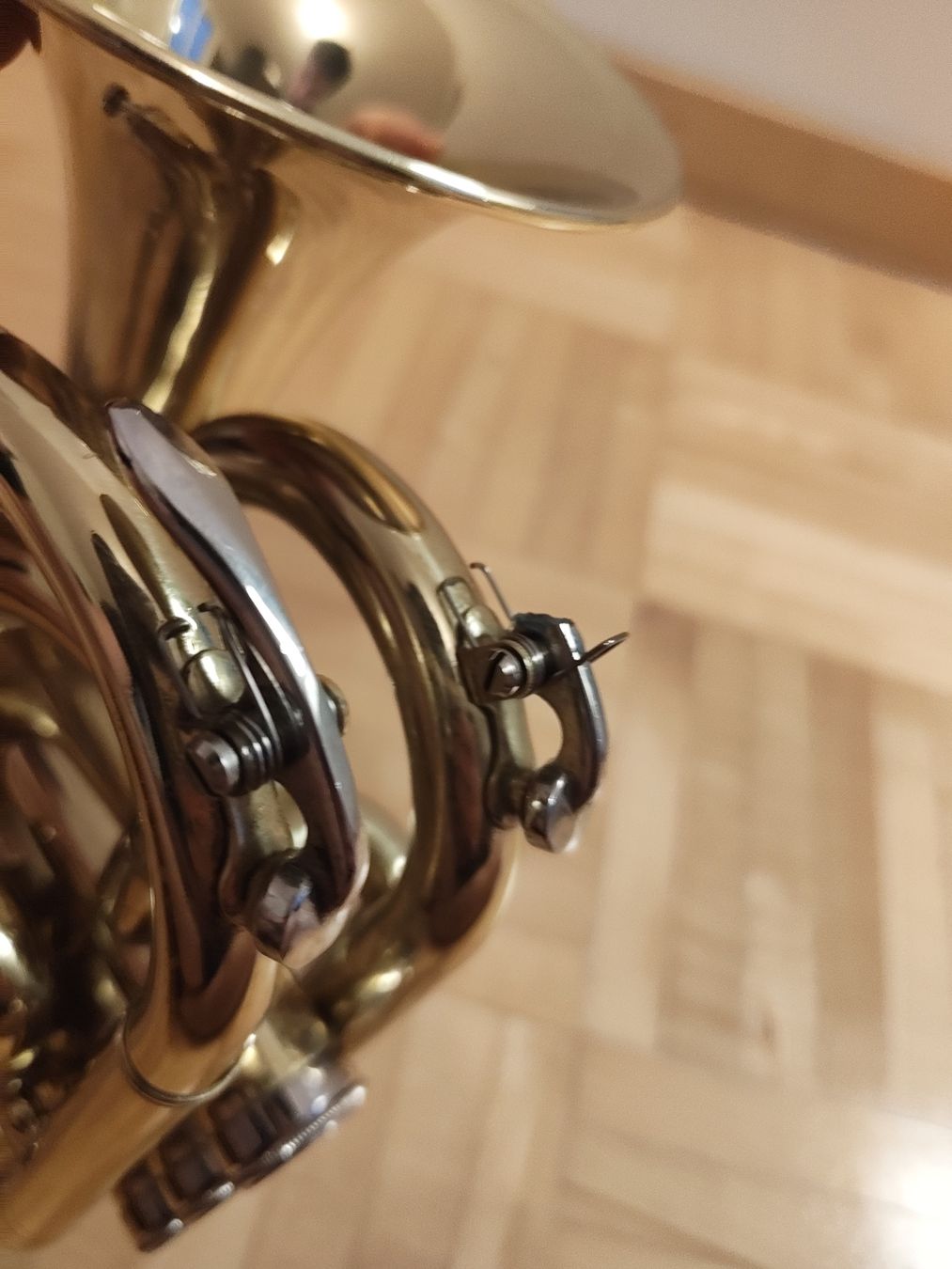 Strumenti musicali: Taschentromoete – Usato da Vitznau venduto da Gishaya 5