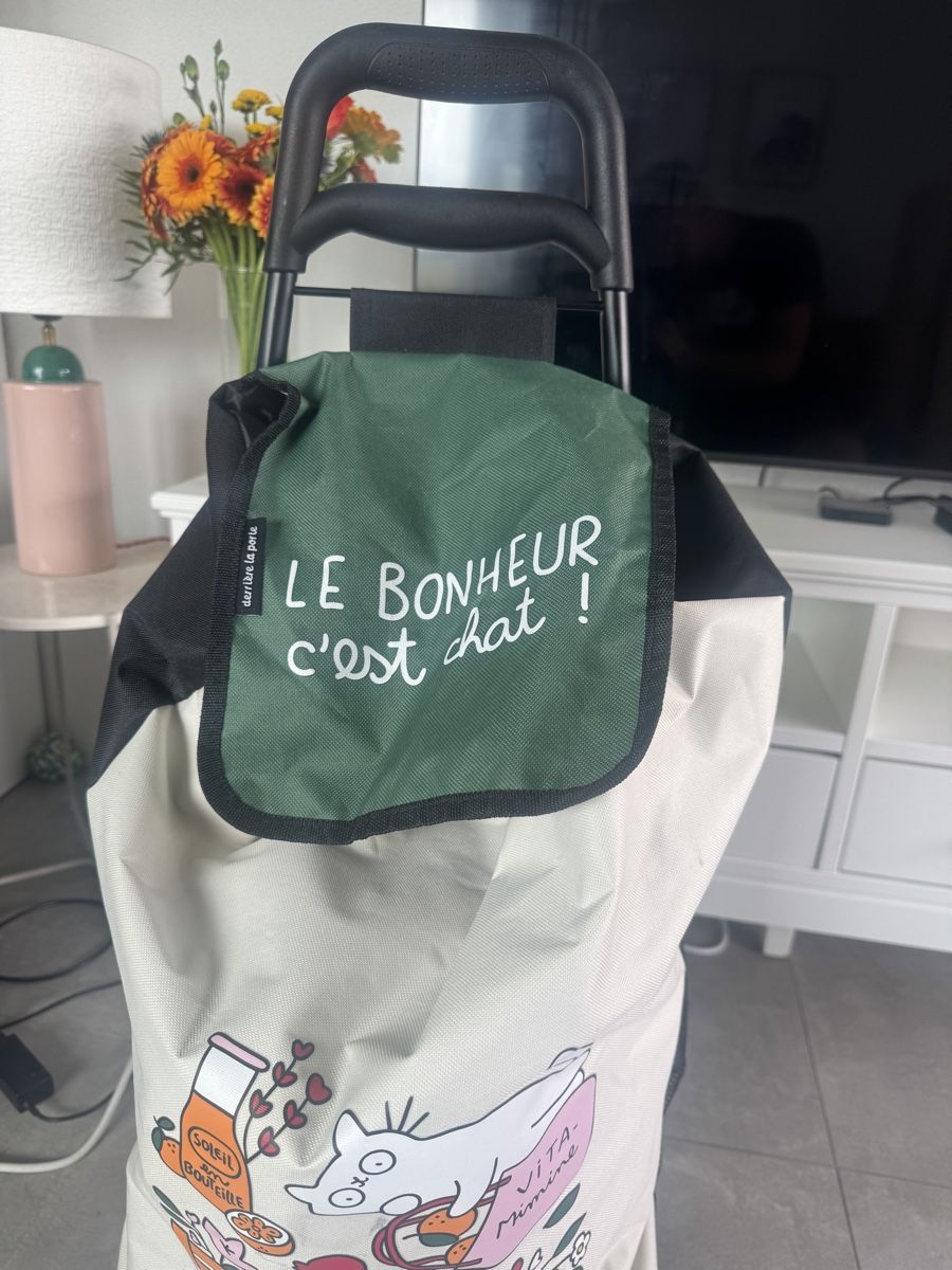 Altro per la casa: Chariot de courses – Nuovo (secondo la descrizione) da Lausanne venduto da marios.7 1