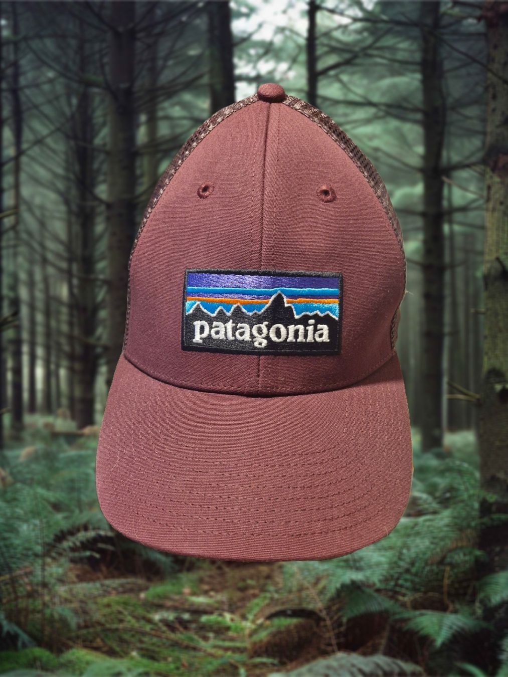 Patagonia Chapeaux, bonnets & casquettes: Patagonia Trucker Hat – Neuf (Voir description) à Zürich par MicroShlimak