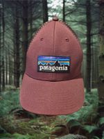 Patagonia Trucker Hat